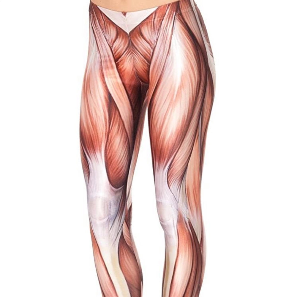 Anatomy Muscle Leggings